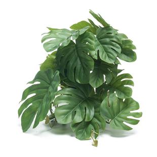 爬虫箱造景高仿真植物水陆生态缸陆龟蜥蜴守宫假植物摆件盆景装饰