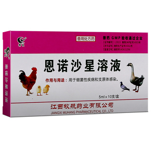 恩诺沙星溶液恩诺沙星鸽药鸡用虎皮玄凤鹦鹉专用肺炎肠炎拉稀药