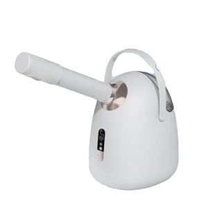 纳米冷热双喷蒸脸器家用补水喷雾机热喷蒸脸仪毛孔蒸汽脸部美容院