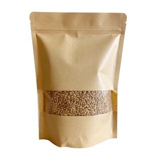 猫草种子水培种植猫咪吃的化毛去毛球懒人猫麦草籽麦芽发芽食用