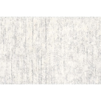 地毯客厅2025新款免洗可擦