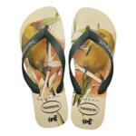 新款巴西哈瓦那havaianas儿童拖鞋男女童人字拖休闲沙滩夹脚凉拖