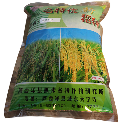 正宗洋县黑米种子高产水稻种籽