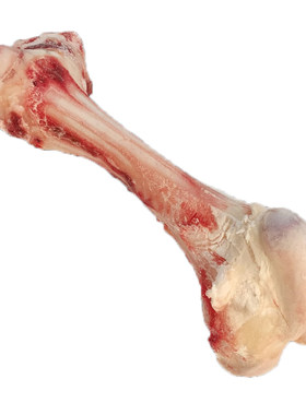 新鲜不带肉牛棒骨大骨头棒骨牛筒骨牛腿骨牛骨头熬汤商用生鲜食材