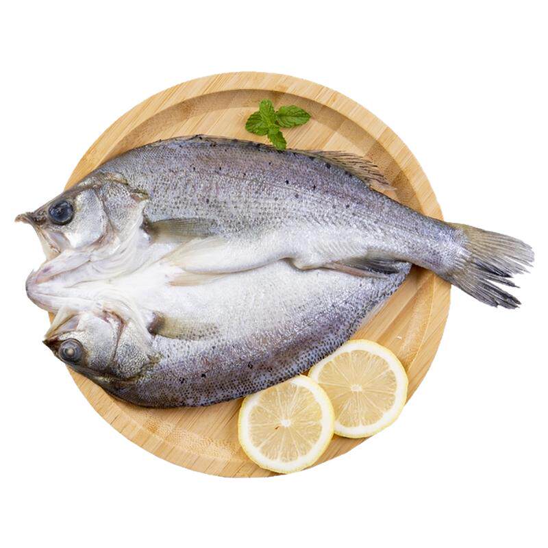 开背海鲈鱼免处理活鱼加工无添加剂净重无冰去鳞去脏食材顺丰包邮