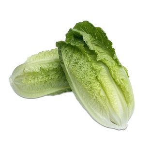 【槿馐】包心罗马生菜1-5斤 罗纹凯撒生菜 黄心罗马嫩罗马生菜