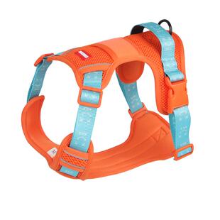 狗狗牵引绳胸背式可伸缩狗背心狗脖圈拉布拉多遛狗链子柴犬胸背带