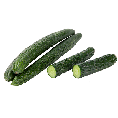 黄瓜种子强雌青瓜种四季蔬菜种孑