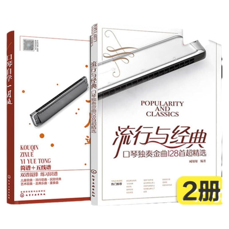 赠视频 长笛自学快速入门与流行曲100首 2册 流行与经典令人沉醉的长笛曲100首 长笛自学一月通 长笛入门自学视频教程 经典长笛曲