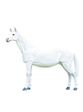 艺家乡仿真白马玻璃钢动物模型