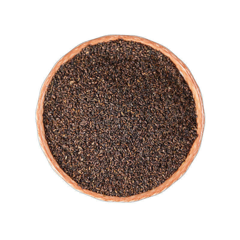 中国药典标准正品车前子中药饮片精选车前子盐车前子茶中药材抓配