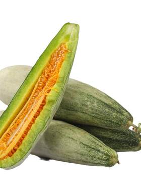 羊角蜜甜瓜种子春播蔬菜嫁接酥