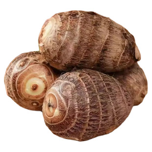 贵州当季现挖牛奶芋头老品种毛芋头新鲜软糯小香芋精挑芋艿