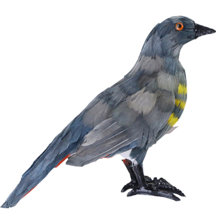 仿真鸟类动物标本黄鹂绿鸠啄木鸟伯劳鸟麻雀挂燕羽毛鸟类装饰摆件