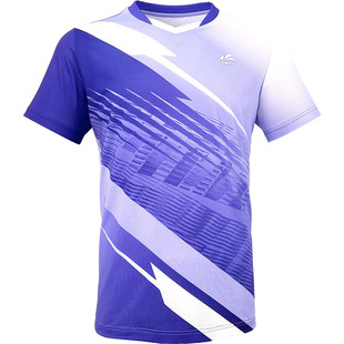 速迈新款团购服速干透气羽毛球服套装短袖短裤男女款运动训练套装