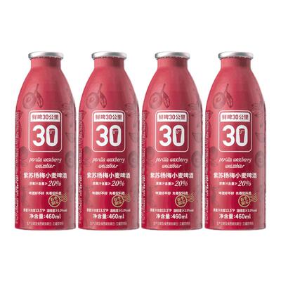 鲜啤30公里精酿果啤鲜爽酸甜紫苏杨梅小麦啤酒低度微醺东魁杨梅汁