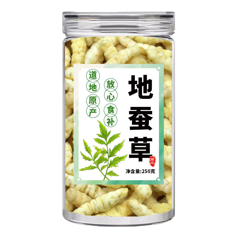 地蚕草野生种药材草石蚕地蚕土冬虫草泽兰根地参云南虫草干货泡水