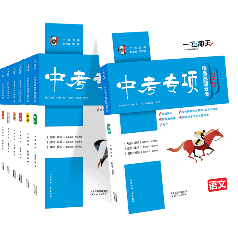 2026天津一飞冲天中考专项总复习