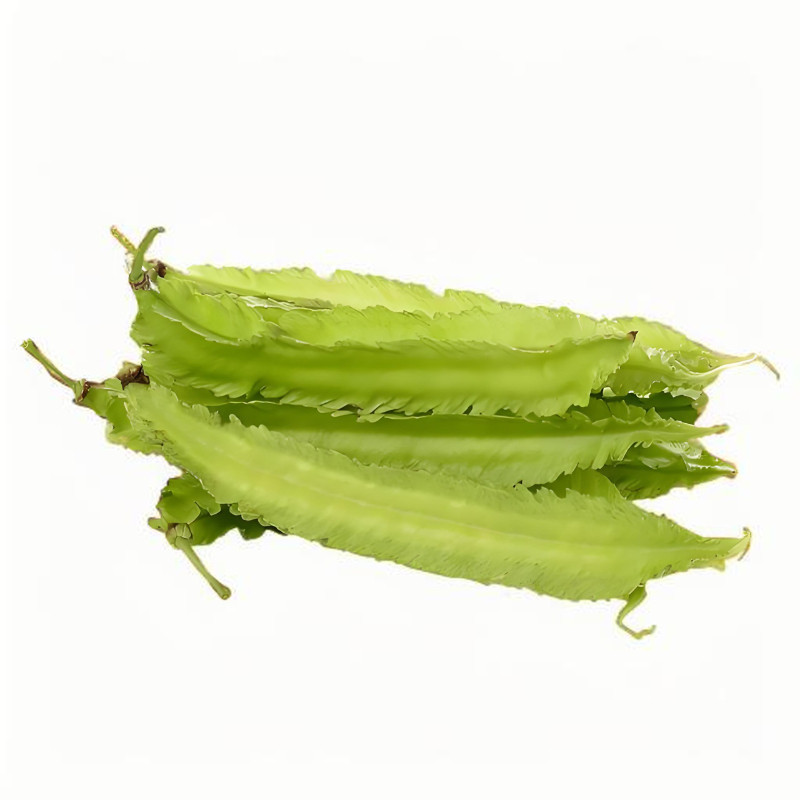 四棱豆种子四角豆四边菱豆