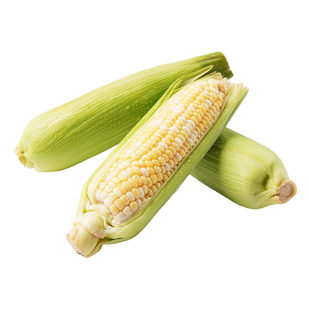 东方甄选艾菲水果玉米甜玉米颗粒饱满当季新鲜时令蔬菜坏果包赔