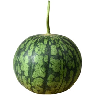 西瓜水果红壤黄壤混搭仁风富硒新鲜脆甜多汁老人小孩冰淇淋嗨瓜