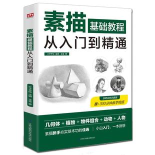 素描零基础教程从入门到精通自学入门教程材书籍铅笔手绘画从单个体石膏几何体成人美术的诀窍临摹范本到精通套人物头像速写绘画