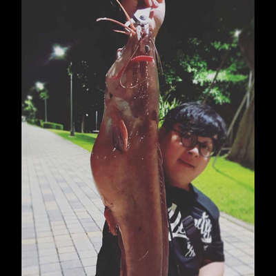 鲈友浮力针尾浮水路亚软饵加诱食剂德州倒钓内德钓组鲈鱼桂鱼翘嘴