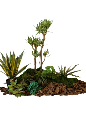 仿真龙舌兰沙漠植物沙生绿植造景