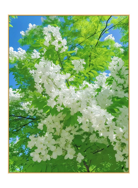 左伦画艺diy数字油画2024年新款