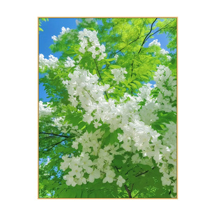 植物花卉数字油画绿色系治愈风景手工diy填色静心解压手绘油彩画