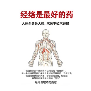 十二经络人体经络按摩经络祛病学会活穴五味主药气血心经肝脏保养