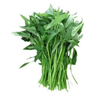 大叶空心菜种子柳叶四季盆栽春季蔬菜种籽孑菜籽菜种南方水上籽种