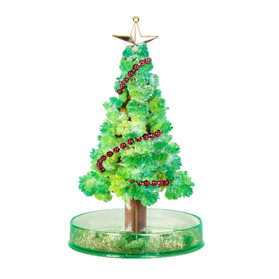 纸树开花魔法圣诞树开花浇水