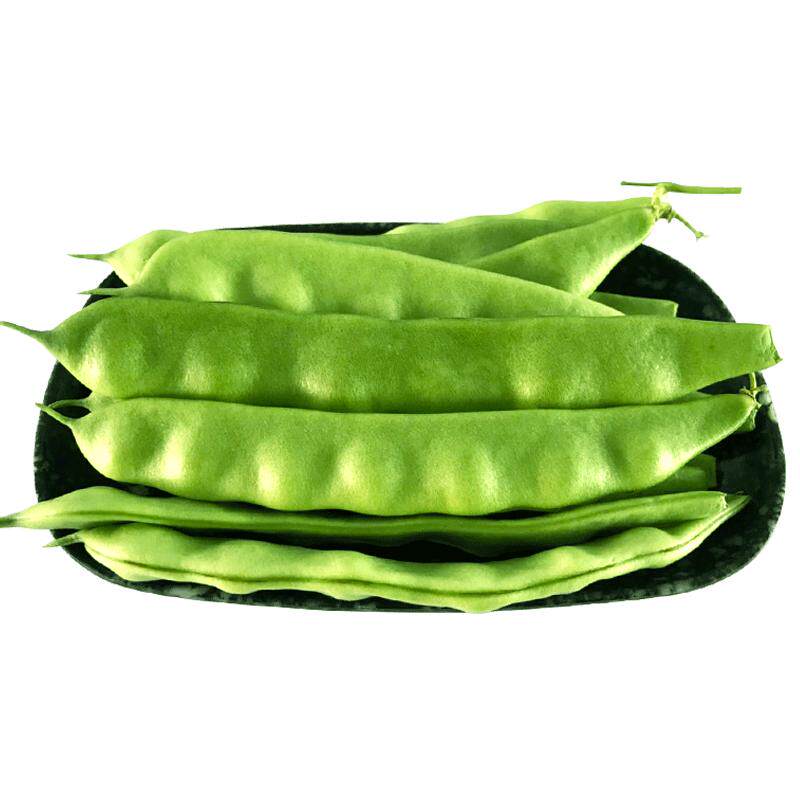正宗东北紫花油豆农家现摘新鲜蔬新鲜豇豆/豆角