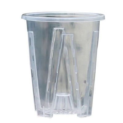 透明花盆蝴蝶兰专用花盆