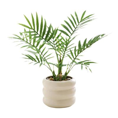 ins小清新桌面仿真绿色植物