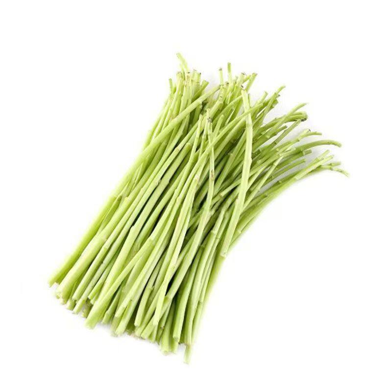 新鲜野菜芦蒿当季蔬菜净菜去叶农家黎蒿篱蒿藜蒿嫩泥蒿蓠蒿漓篙离