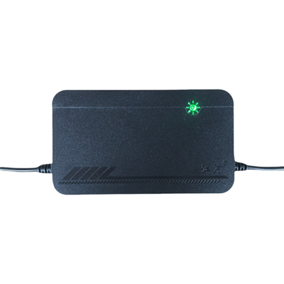 江河充电器电动车电瓶小鸟