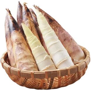 2025年当季厚切发芽临安春笋壳薄肉肥质嫩野山野笋