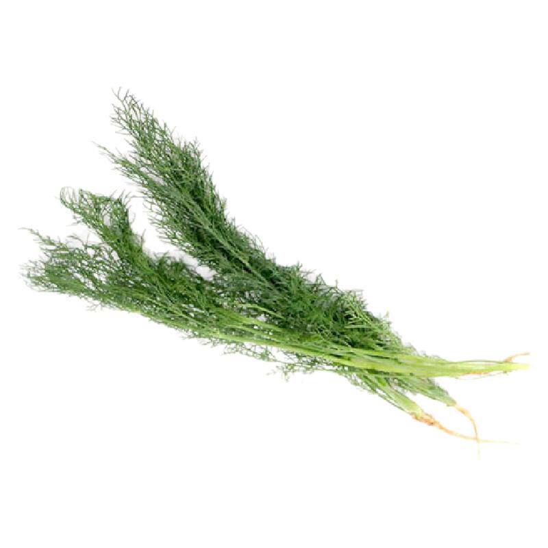 新鲜茴香叶沁蕊饺子馅