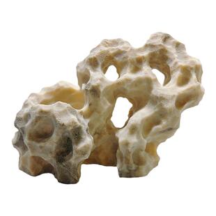 吴定石上水石吸水石菖蒲盆附石假山石捕虫堇盆景绿植观赏摆件石雕