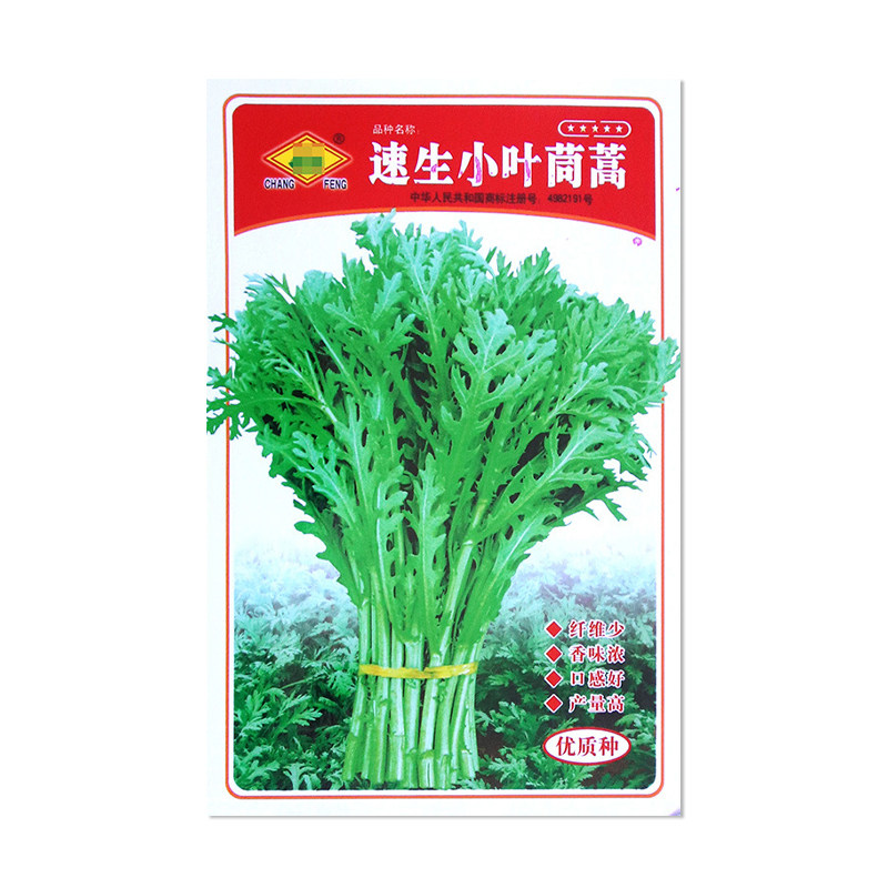 常丰速生小叶茼蒿种子