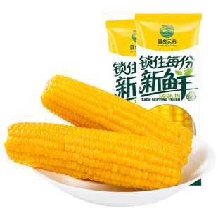 东北甜糯玉米棒220gx10根黄粘玉米基地自种玉米非转基因真空