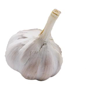 南方秋后蔬菜种子香葱头适合冬天种的菜韭菜根鸡毛菜豌豆苗木耳菜