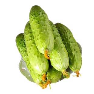 串零地无架水果黄瓜种子爬满地阳台盆栽田园春秋四季播蔬菜种孑籽