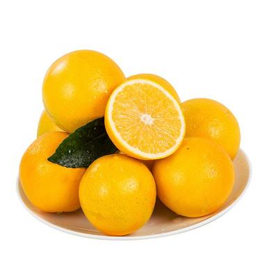 顺丰包邮正宗湖南永兴冰糖橙现摘