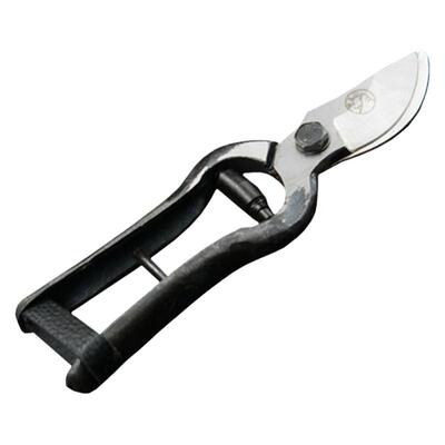 老式望儿山修枝剪果树树花花艺剪