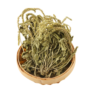 野生整株车前草中药材500g正品新鲜干货泡茶车钱草泡水车前草茶