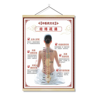中医九种体质辨识装饰挂画挂图背部经络疏通生病的步骤中医卷轴画