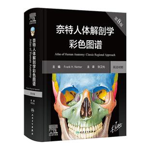 奈特人体解剖学图谱第8版 汉英对照 彩色学图谱 神经系统肌肉骨骼生理学基础肌动学书籍临床基础教材法医人卫版解刨解剖图谱正版